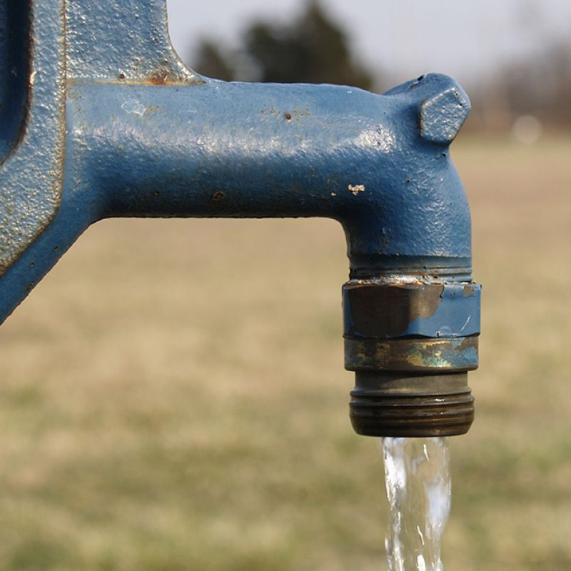 Close-up of a blue outdoor tap with water flowing, set against a blurred grassy background.