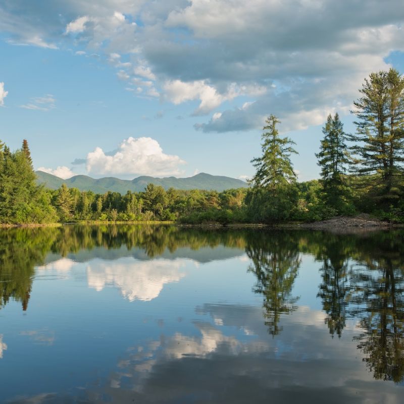 Serene lake with trees reflected in water under a cloudy blue sky, surrounded by lush greenery and distant mountains.